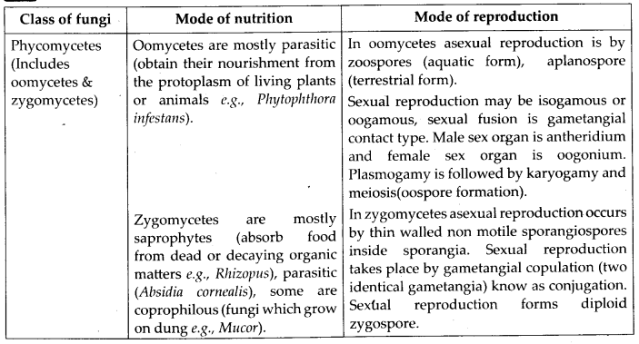 NCERT Solutions For Class 11 Biology Biological Classification Q12