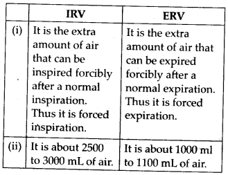 NCERT Solutions For Class 11 Biology Breathing and Exchange of Gases Q13