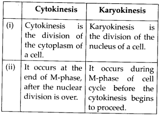 NCERT-Solutions-For-Class-11-Biology-Cell-Cycle-and-Cell-Division-Q2