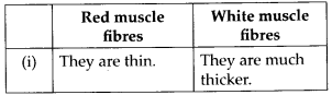 NCERT Solutions For Class 11 Biology Locomotion and Movement Q5.1