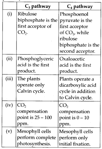 NCERT-Solutions-For-Class-11-Biology-Photosynthesis-in-Higher-Plants-Q6
