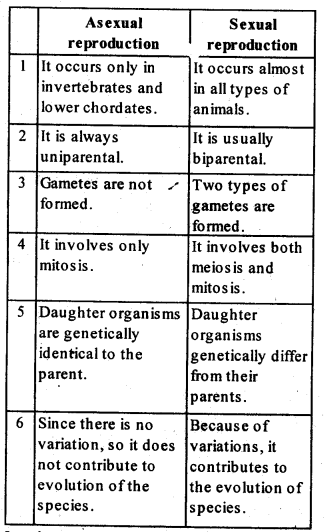 NCERT-Solutions-For-Class-12-Biology-Reproduction-in-Organisms-Textbook-Questions-Q6