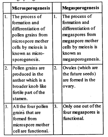 NCERT-Solutions-For-Class-12-Biology-Sexual-Reproduction-in-Flowering-Plants-Q2