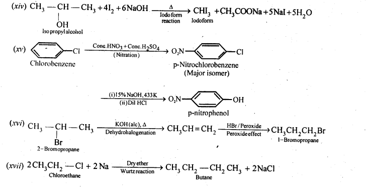 NCERT Solutions For Class 12 Chemistry Chapter 10 Haloalkanes and Haloarenes Exercises Q19.2