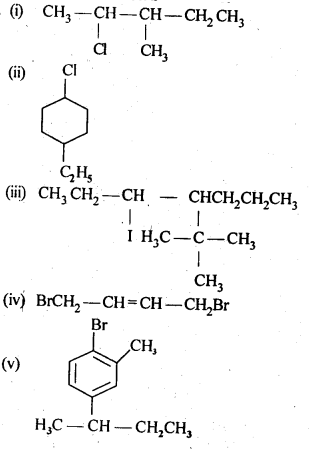 NCERT Solutions For Class 12 Chemistry Chapter 10 Haloalkanes and Haloarenes Intext Questions Q1