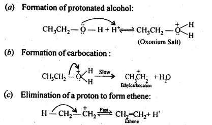 NCERT Solutions For Class 12 Chemistry Chapter 11 Alcohols Phenols and Ether Exercises Q19