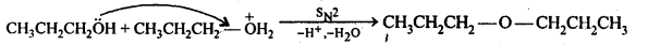 NCERT Solutions For Class 12 Chemistry Chapter 11 Alcohols Phenols and Ether Exercises Q27