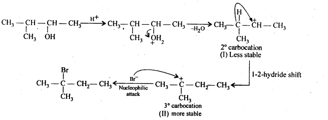 NCERT Solutions For Class 12 Chemistry Chapter 11 Alcohols Phenols and Ether Exercises Q33.1