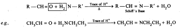 NCERT Solutions For Class 12 Chemistry Chapter 12 Aldehydes Ketones and Carboxylic Acids Exercises Q1.8