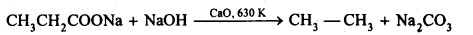NCERT Solutions For Class 12 Chemistry Chapter 12 Aldehydes Ketones and Carboxylic Acids Exercises Q16.3