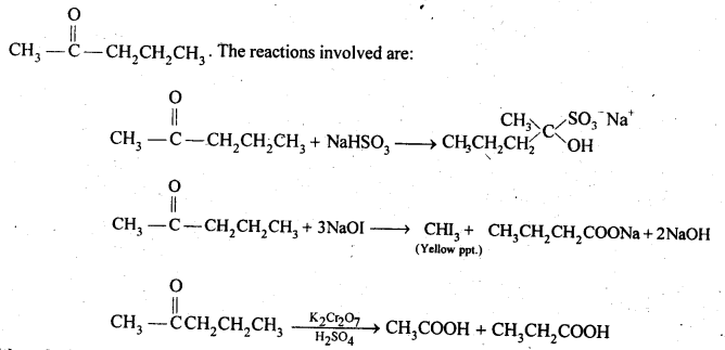 NCERT Solutions For Class 12 Chemistry Chapter 12 Aldehydes Ketones and Carboxylic Acids Exercises Q19.1