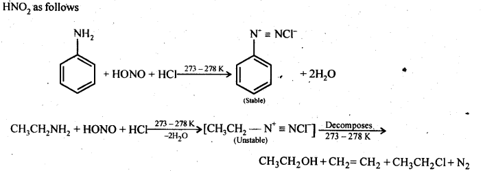 NCERT Solutions For Class 12 Chemistry Chapter 13 Amines Exercises Q13