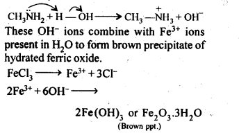 NCERT Solutions For Class 12 Chemistry Chapter 13 Amines Exercises Q3.1