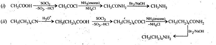 NCERT Solutions For Class 12 Chemistry Chapter 13 Amines Exercises Q5