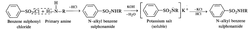 NCERT Solutions For Class 12 Chemistry Chapter 13 Amines Exercises Q6