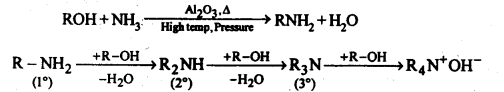 NCERT Solutions For Class 12 Chemistry Chapter 13 Amines Exercises Q7.4
