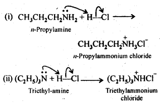 NCERT Solutions For Class 12 Chemistry Chapter 13 Amines Intext Questions Q5