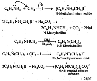 NCERT Solutions For Class 12 Chemistry Chapter 13 Amines Intext Questions Q6