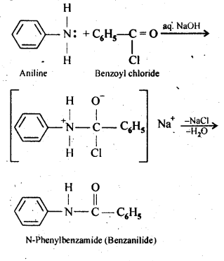 NCERT Solutions For Class 12 Chemistry Chapter 13 Amines Intext Questions Q7