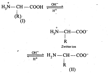 NCERT Solutions For Class 12 Chemistry Chapter 14 Biomolecules Exercises Q16.1