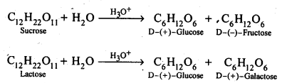 NCERT Solutions For Class 12 Chemistry Chapter 14 Biomolecules Exercises Q7