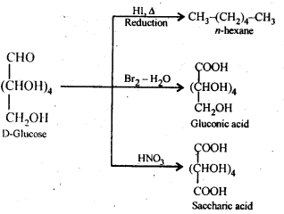 NCERT Solutions For Class 12 Chemistry Chapter 14 Biomolecules Exercises Q9