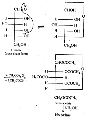 NCERT Solutions For Class 12 Chemistry Chapter 14 Biomolecules Intext Questions Q3