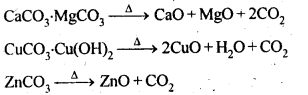 NCERT Solutions For Class 12 Chemistry Chapter 6 General Principles and Processes of Isolation of Elements Exercises Q14.1