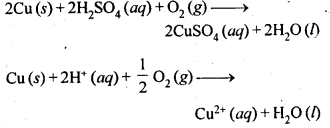 NCERT Solutions For Class 12 Chemistry Chapter 6 General Principles and Processes of Isolation of Elements Exercises Q19