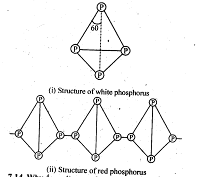NCERT Solutions For Class 12 Chemistry Chapter 7 The p Block Elements Exercises Q13.1