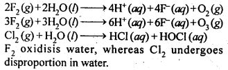 NCERT Solutions For Class 12 Chemistry Chapter 7 The p Block Elements Exercises Q28