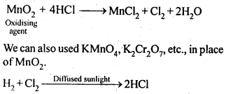 NCERT Solutions For Class 12 Chemistry Chapter 7 The p Block Elements Exercises Q29