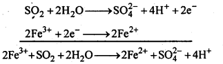 NCERT Solutions For Class 12 Chemistry Chapter 7 The p Block Elements Textbook Questions Q20