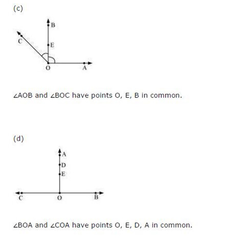 NCERT Solutions For Class 6 Maths Basic Geometrical Ideas Exercise 4.3 Q4
