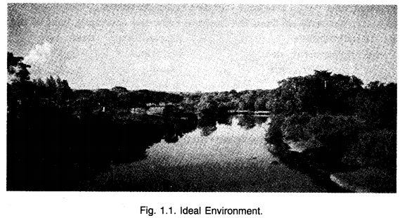 NCERT-Solutions-For-Class-7-Geography-Social-Science-Chapter-1-Environment-Q5