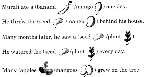 NCERT-Solutions-for-Class-1-English-Chapter-13-Muralis-Mango-Tree-Q1