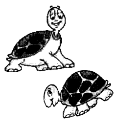 NCERT-Solutions-for-Class-1-English-Chapter-16-A-Little-Turtle-Reading-is-Fun-Q2