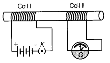 NCERT Solutions for Class 10 Science Chapter 13 Magnetic Effects of Electric Current MCQs Q10