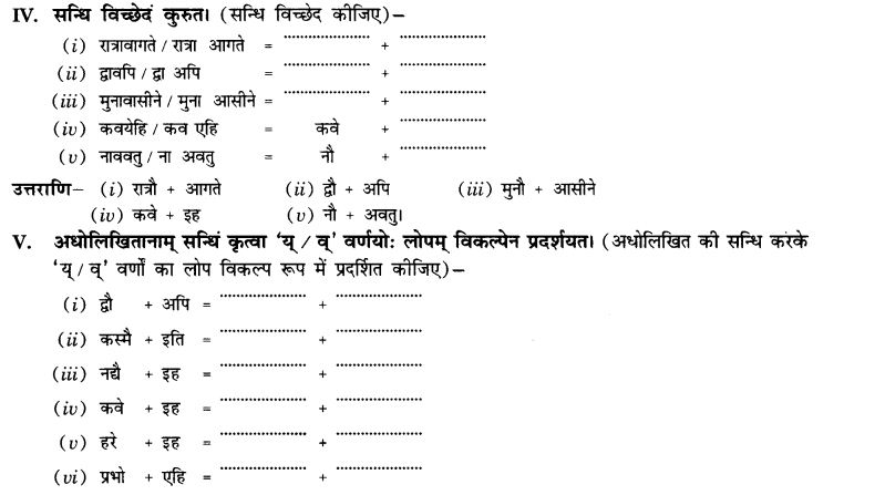 NCERT Solutions for Class 10th Sanskrit Chapter 1 सन्धि 6