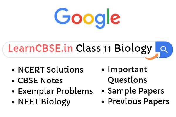 NCERT Solutions for Class 11 Biology
