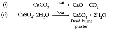 NCERT Solutions for Class 11 Chemistry Chapter 10 The s-Block Elements SAQ Q2
