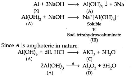 NCERT Solutions for Class 11 Chemistry Chapter 11 The p-Block Elements Q28