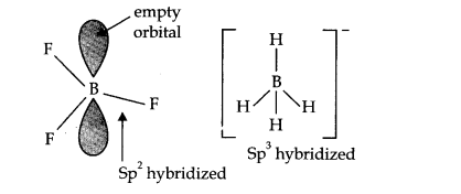 NCERT Solutions for Class 11 Chemistry Chapter 11 The p-Block Elements Q7