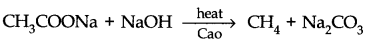 NCERT Solutions for Class 11 Chemistry Chapter 13 Hydrocarbons VSAQ Q3