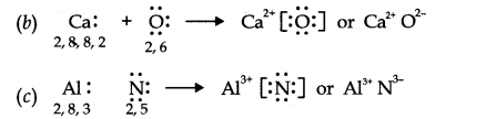 NCERT Solutions for Class 11 Chemistry Chapter 4 Chemical Bonding and Molecular Structure Q14.1