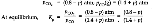 NCERT Solutions for Class 11 Chemistry Chapter 7 Equilibrium Q19.1
