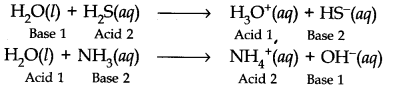 NCERT Solutions for Class 11 Chemistry Chapter 9 Hydrogen Q24