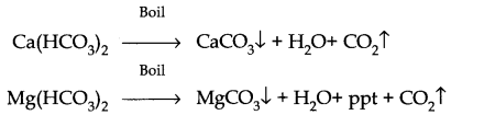 NCERT Solutions for Class 11 Chemistry Chapter 9 Hydrogen SAQ Q5