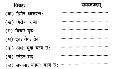 NCERT-Solutions-for-Class-11-Sanskrit-Chapter-4-यशोधनानां-हि-यशो-गरीयः-Q3