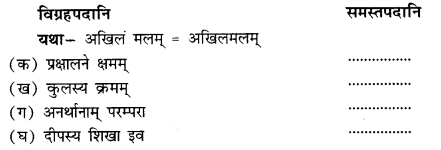 NCERT-Solutions-for-Class-11-Sanskrit-Chapter-8-गुरूपदेशः-अजलं-स्नानम्-Q4